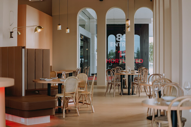 Comentarii opinii despre Zoro