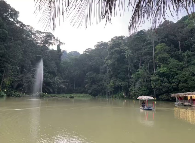 Opinii despre Veg Fish Farm Thai Restaurant în Ampang - Gastronomi dan perhotelan