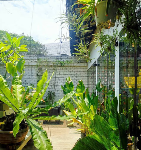 Comentarii opinii despre Fifty Trees