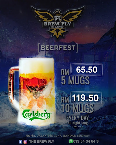 Comentarii opinii despre The Brew Fly