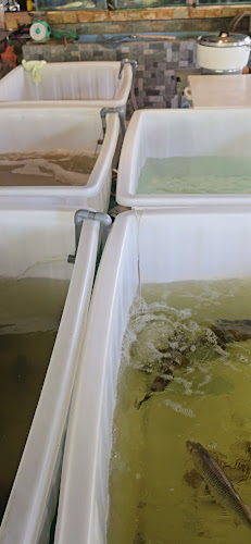 Opinii despre New Valley Seafoods (HALAL)Restoran Bintulu în Bintulu - Gastronomi dan perhotelan