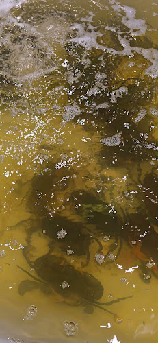 Comentarii opinii despre New Valley Seafoods (HALAL)Restoran Bintulu