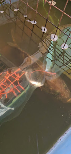 Lot193, Jalan Tun Ahmad Zaidi, Parkcity, 97000 Bintulu, Sarawak