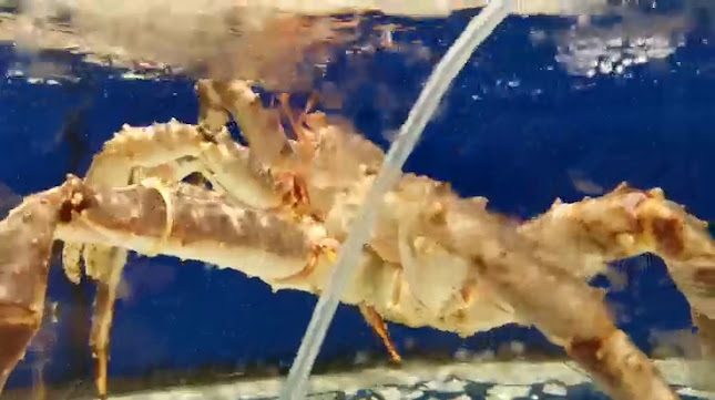 Marina Seafood - Gastronomi dan perhotelan