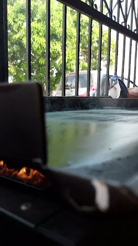 Comentarii opinii despre HungerBurg