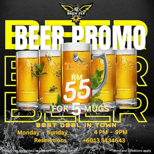 Comentarii opinii despre The Brew Fly