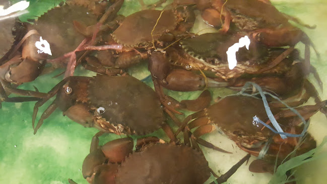 Opinii despre New Valley Seafoods (HALAL)Restoran Bintulu în Bintulu - Gastronomi dan perhotelan