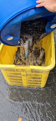 New Valley Seafoods (HALAL)Restoran Bintulu - Bintulu