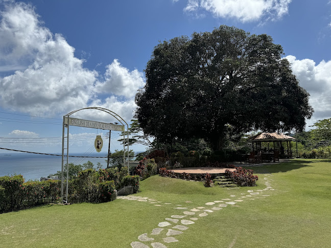 Comentarii opinii despre English Tea House & Restaurant