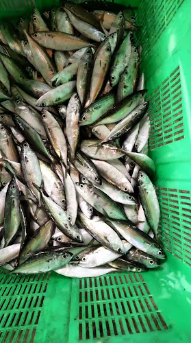 Kompleks Lkim Kuantan