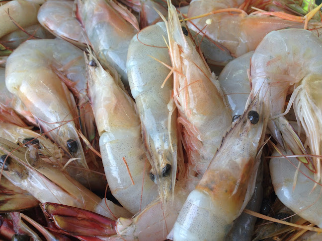 Seafood Padungan Bay Restaurant - Kuching