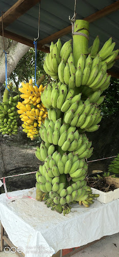 31A, Jln Semarak Api, Kampung Tersusun Dato Seri Kamaruddin, 32200 Seri Manjung, Perak