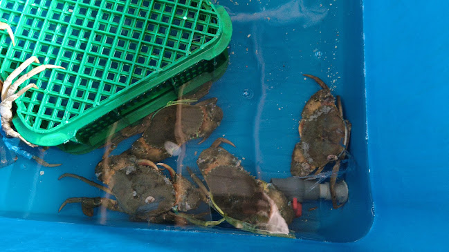 Opinii despre Qun Hua Kuala Selangor Seafood Restaurant în Kuala Selangor - Gastronomi dan perhotelan