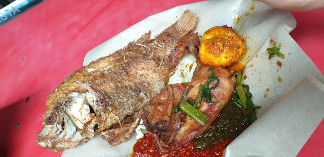 Comentarii opinii despre Rasta TTDI