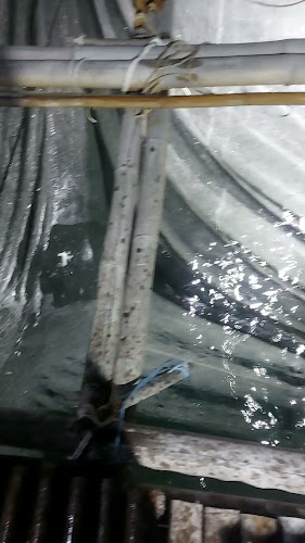 Meja C58, Pasar Sentral, 87000 Labuan, Labuan Federal Territory