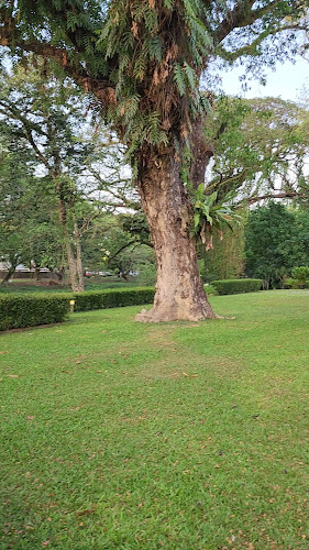 Comentarii opinii despre Suffolk House Restaurant