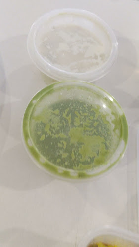 Comentarii opinii despre Chappati.com