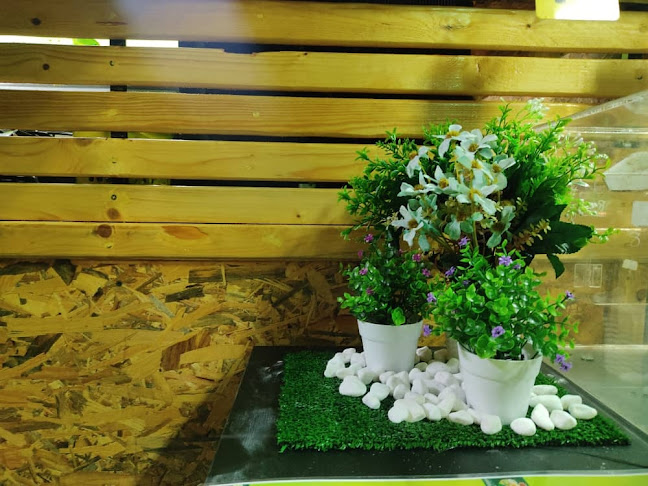 Opinii despre RTC Catering în Jerantut - Gastronomi dan perhotelan