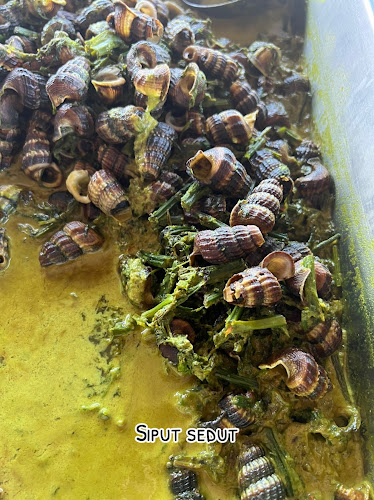 RESTORAN JARI DELIMA SAYONG KUALA KANGSAR