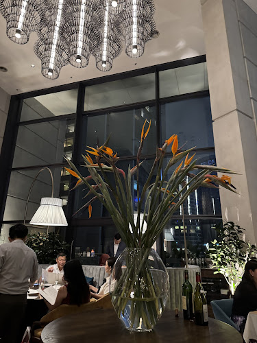 Comentarii opinii despre Fritz