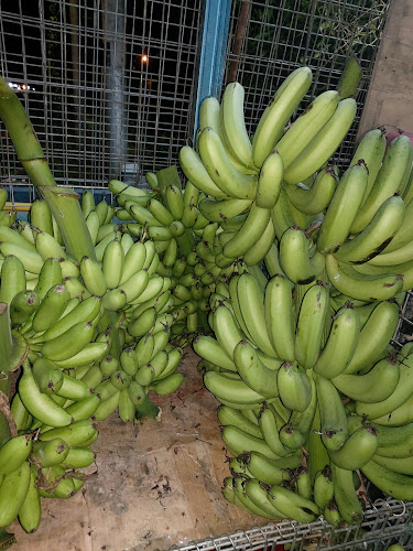 Comentarii opinii despre Gerai buahan Manja Aishah