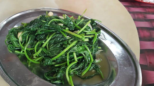 Jalan Changkat Jering - Sri Manjung - Kampung Koh, Kampung Pasir Panjang Laut, 32000 Sitiawan, Perak