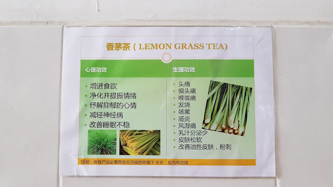 Comentarii opinii despre Sinsuran Sang Nyuk Mee