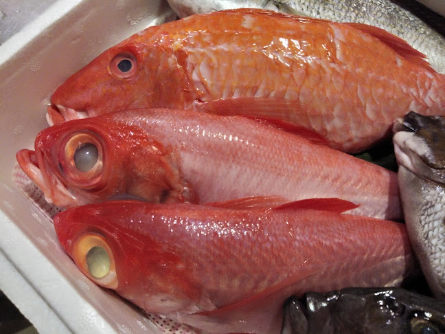 Opinii despre Ishiraku Izakaya în Batu Pahat - Gastronomi dan perhotelan