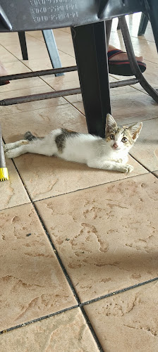 Opinii despre Medan Selera Taman Orkid în Batu Gajah - Gastronomi dan perhotelan