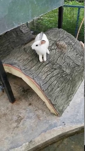 Lot 12, 3rd Floor, Block A, Capital 2, Lorong Inanam, 88450 Kota Kinabalu, Sabah