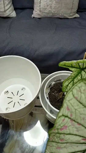 Kedai Kopi OSHIN - Klang