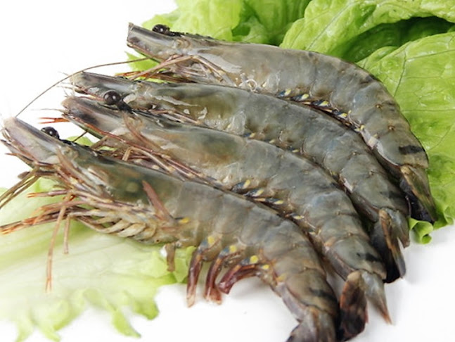 Lot G34, Jalan Asia City, Pusat Bandar Kota Kinabalu, 88000 Kota Kinabalu, Sabah