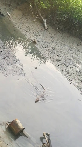 Oriental Seafood Restaurant - Gastronomi dan perhotelan