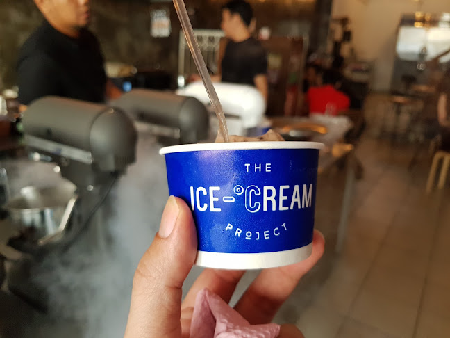 Comentarii opinii despre TIP, The Ice-Cream Project