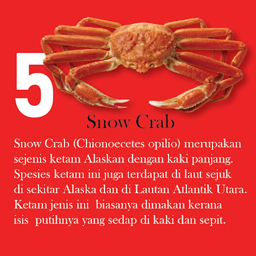 Comentarii opinii despre Cengkerang Seafood Jumble