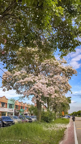 MY Perak Teluk Intan Taman Impian Jalan Merbuk 7, Lorong Impiana 2 邮政编码:邮政编码: 36000