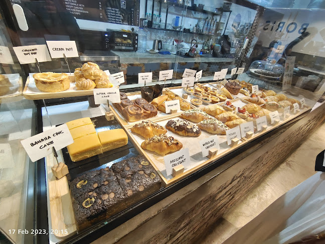 Comentarii opinii despre BORIS