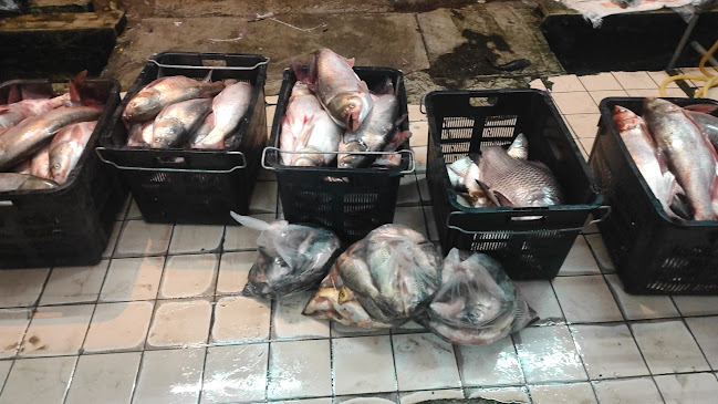 Restoran M Hafiz Tomyam Poktek