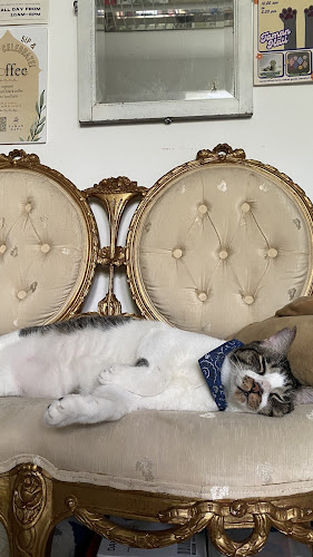 Taman Hati Studio & Cafe - Petaling Jaya