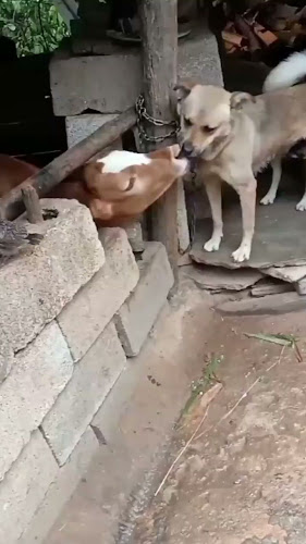 Sam's Plaza Damansara