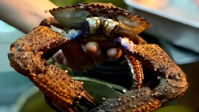 Seafood Padungan Bay Restaurant