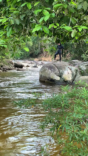 Pekan Hari Kulim - Gastronomi dan perhotelan