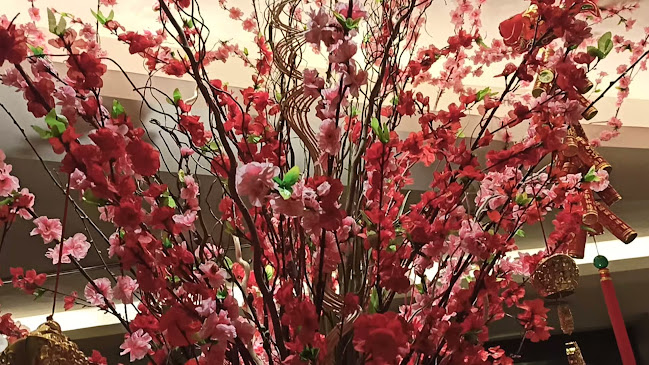 Comentarii opinii despre Swez Brasserie