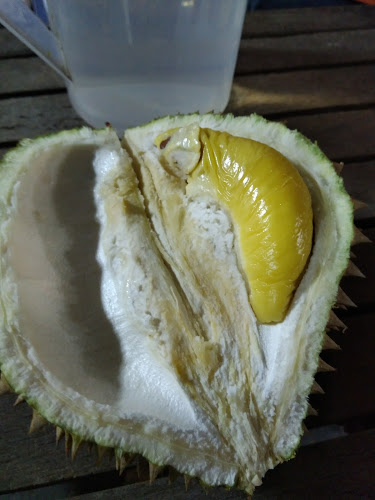 Kampung Dusun Nyior, 24000 Chukai, Terengganu