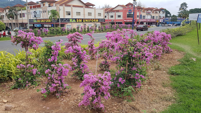 Comentarii opinii despre Marrybrown