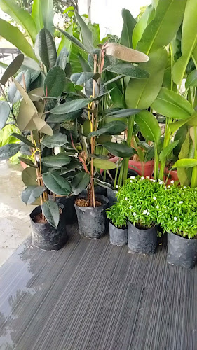 Comentarii opinii despre Kedai Kopi OSHIN