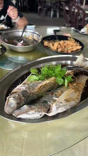 Opinii despre Rasa Sayang Seafood 筷乐小筑 în Kuala Sepetang - Gastronomi dan perhotelan
