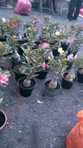 Opinii despre Kim Leng Kopitiam în Raub - Gastronomi dan perhotelan