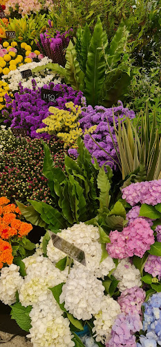 厨房有鱼 Fish Kitchen - Gastronomi dan perhotelan