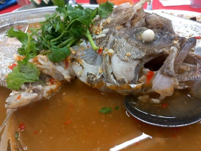 No. 62, 64, 66, Jalan SS 2/72, SS 2, 47300 Petaling Jaya, Selangor